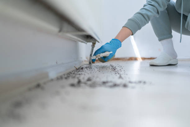 Pest Control Cost in Lakeland, NY